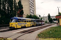 T4D 1004