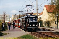 T4D 1124