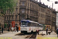 T4D 1135
