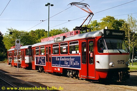T4D-C 1175