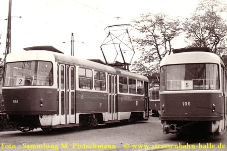 T4D 981
